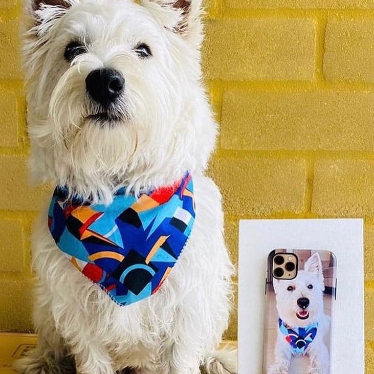 ArtsCase no Instagram